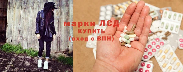 шишки Богородицк